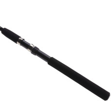 Пікерне вудлище WinnerTeramar Series 2.70m 20-40g