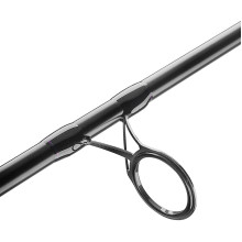 Коропове вудлище Brain Apex 3.90m 4.0lbs 3sec