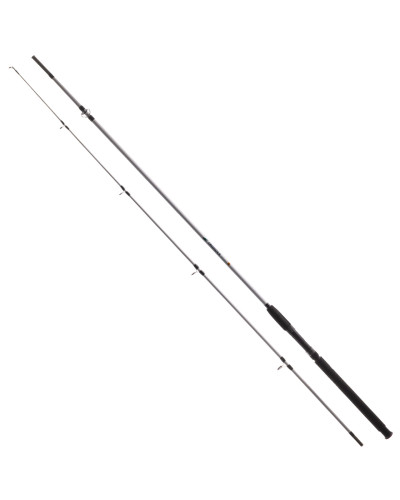 Потужний спінінг Crocodile 100-250g 2.70 м
