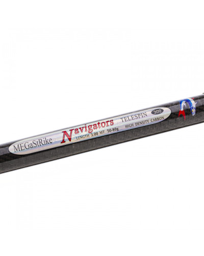 Спінінг короповий Megastrike Navigator Black 50-80g 3.00m — фото 2